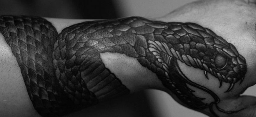 Татуировка змеи на руке